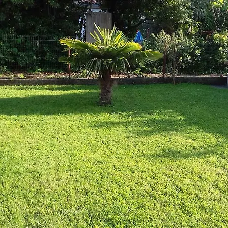 Apartman Vlasta * Umag